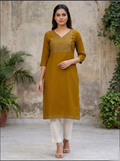 Brown silver line Long Top