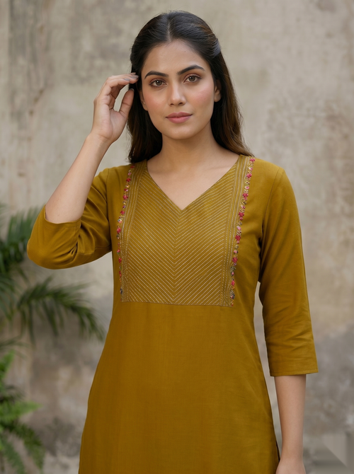 Brown silver line Long Top
